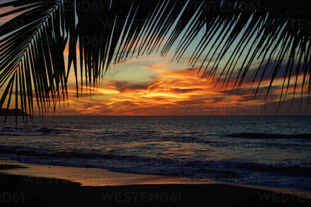 Sayulita sunset